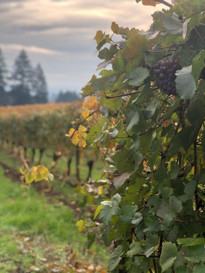 The Setting Inn Willamette Valley Newberg Eksteriør billede